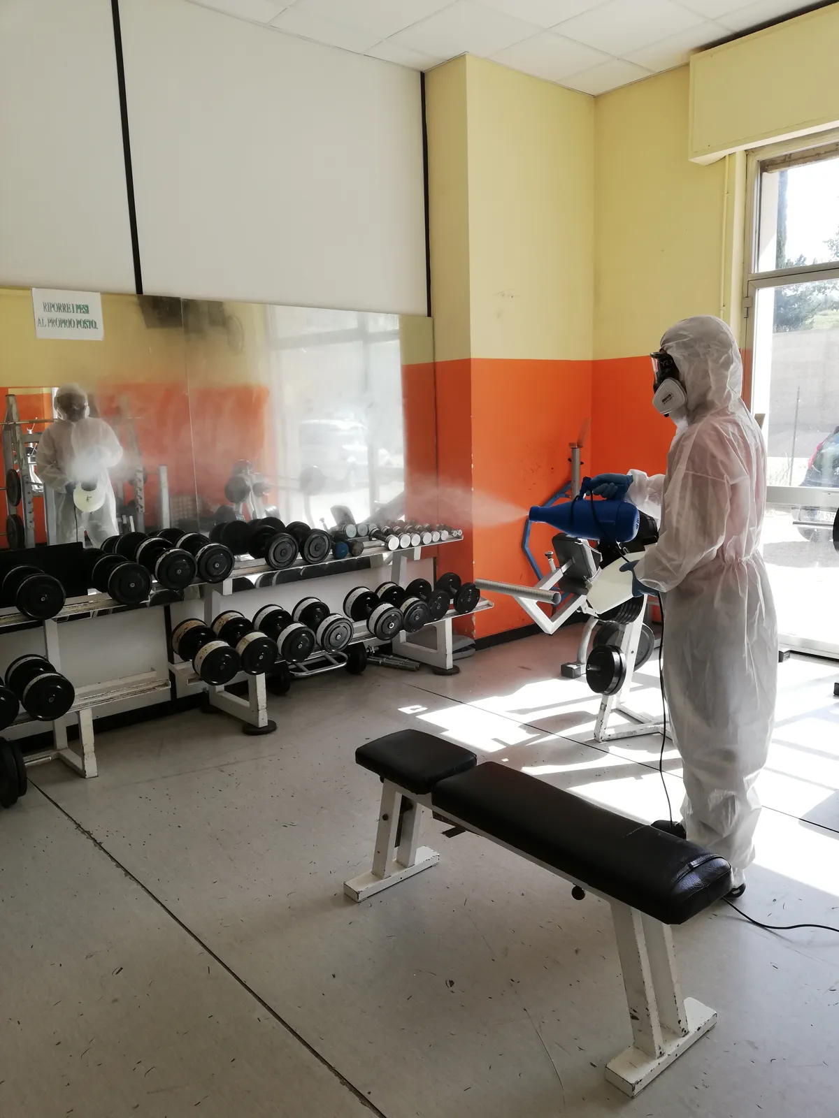 Palestra